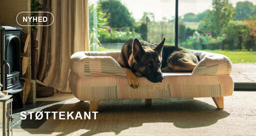 Dog Walk-kollektionen - Hundeseng med støttekant