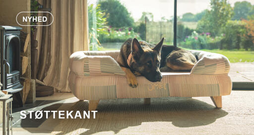 Hund gå samling bolster hund seng