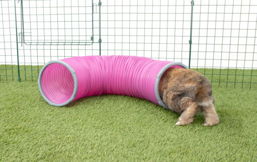 Kanin Going i Zippi legetunnel