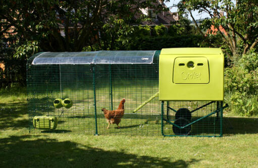 Sidebillede af Eglu Cube hønsehus med løbegård, klar overdækning og høns