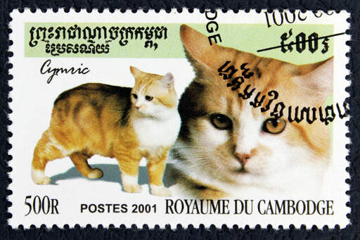Et frimærke fra cambodia med et cymric trykt på det
