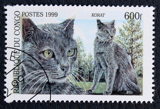 Et frimærke fra den demokratiske republik conGo med en korat kat trykt på det