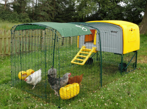 Eglu Cube sommerhygge, vist på gul  hønsehus. Eglu Cube 