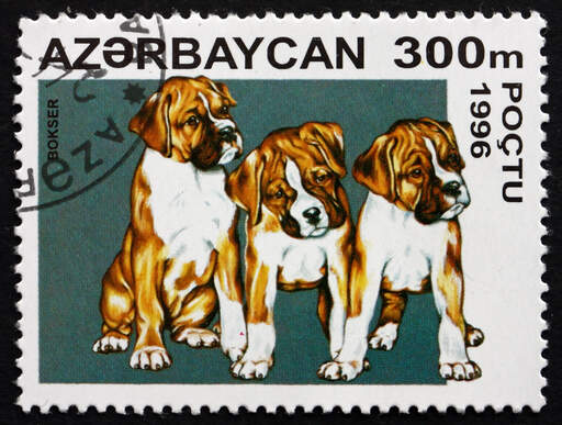 En bokser på et østeuropæisk frimærke