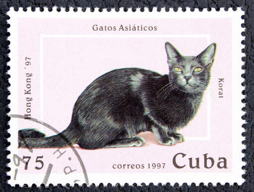 Et frimærke fra cuba med en korat kat trykt på det