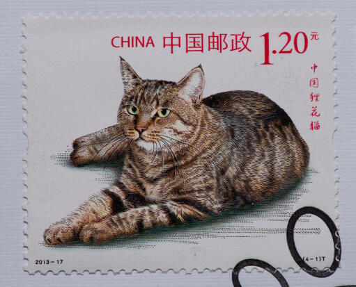Et frimærke fra kina med et draGon li cat trykt på det