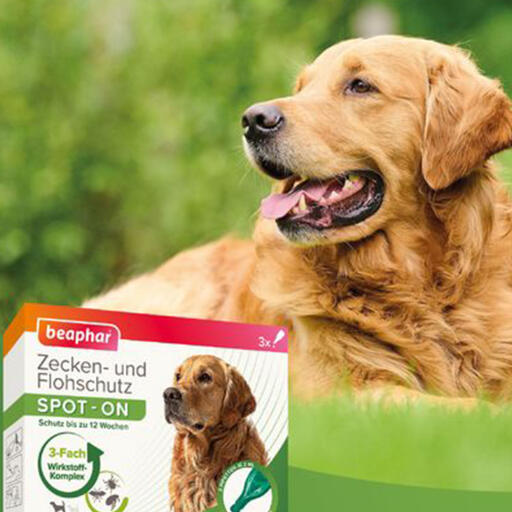 Beaphar SPOT-ON 3x2 ml til store hunde (op til 15 kg) med beskyttelse mod flåter og lopper