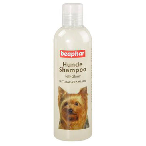 Beaphar hundeshampoo pels glans (250ml)