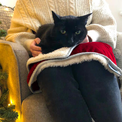 Sort kat ligger på luksus juletæppe til katte i persons skød