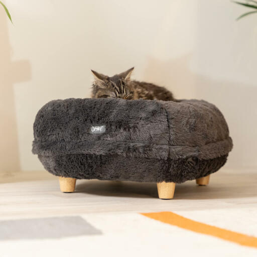 Kat sover på Omlet Maya donut katteseng i tidlig grå farve