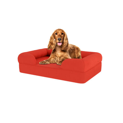 Hund sidder på kirsebærrød medium memory foam bolster hundeseng