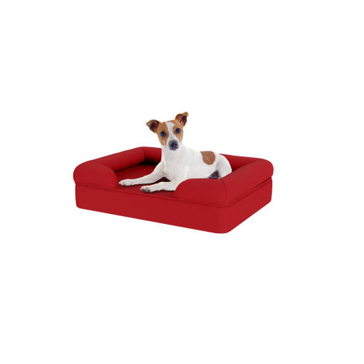 Hund sidder på lille merlot rød memory foam bolster hundeseng