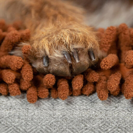 Nærbillede af hundetat på Omlet Topology hundeseng med microfiber top