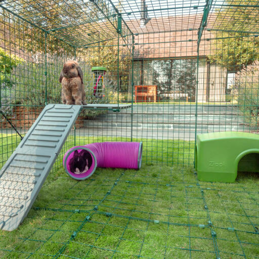 Indenfor Omlet Zippi kaninlegeplads med Zippi platforme, grønt Zippi læhegn, Zippi legetunnel, Caddi Godbidsholder og to kaniner