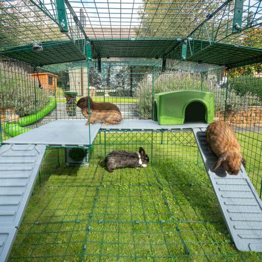 Indenfor Omlet Zippi kaninbur med Zippi platforme, grønt Zippi læhegn og tre kaniner