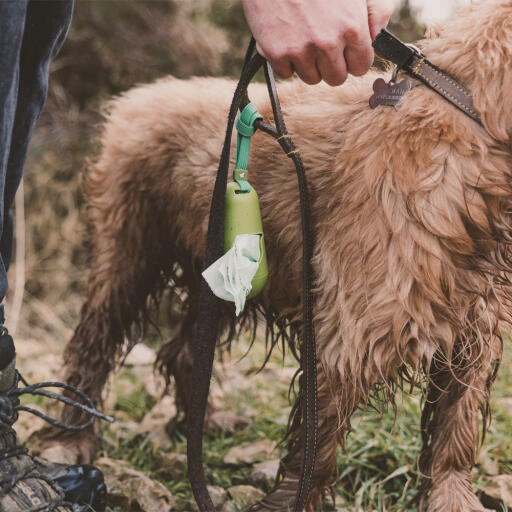 Beco hundelorteposer dispenser fastgjort til hundesnor