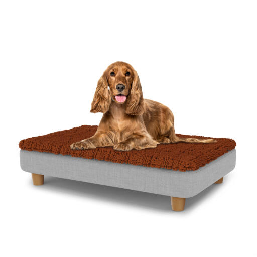 Hund sidder på en medium Topology hundeseng med microfiber top og runde træfødder