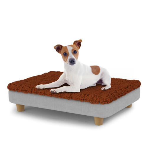 Hund sidder på en lille Topology hundeseng med mikrofiber top og runde træfødder
