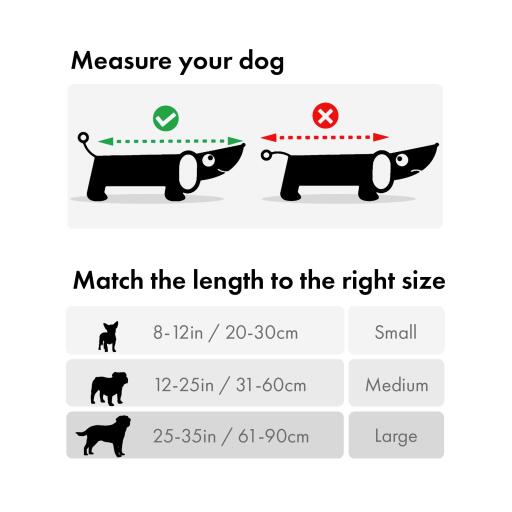 Hvordan du måler din hund