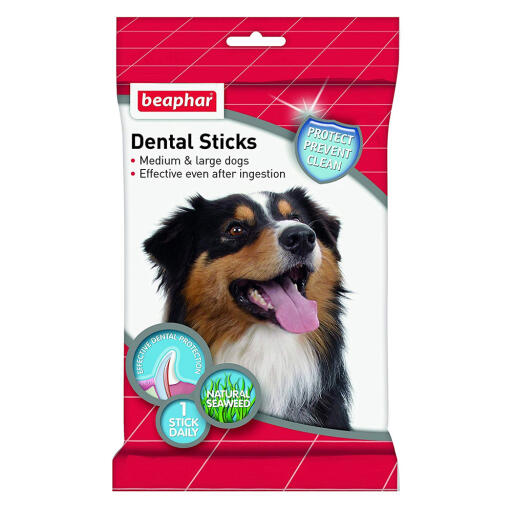 Beaphar dental sticks til mellemstore og store hunde