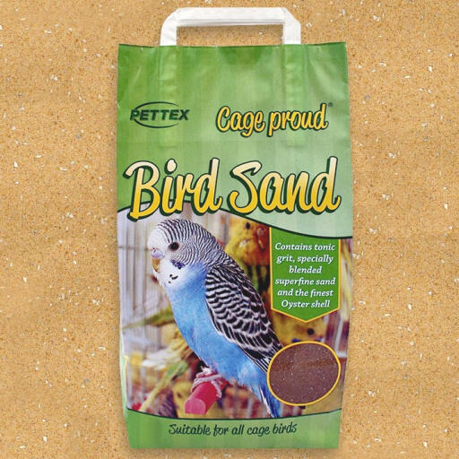 Bur stolt fugl sand