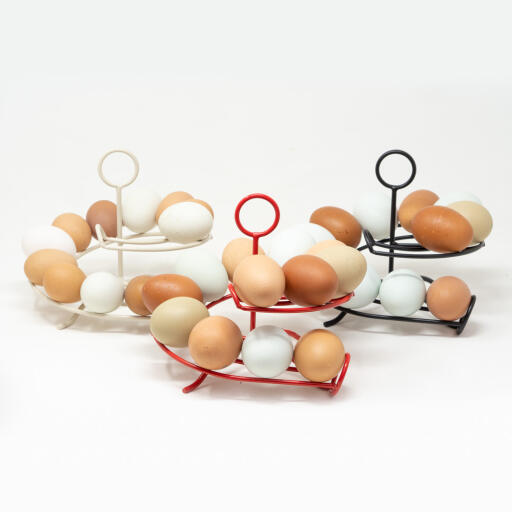 Hønse æggeholder i 3 forskellige farver