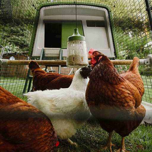 Pendant peck legetøj designet af Omlet