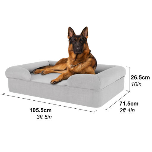 Store bolster hund seng dimensioner