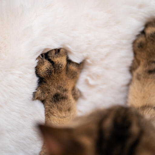 Luksus kattetæppe i imiteret lammeskind
