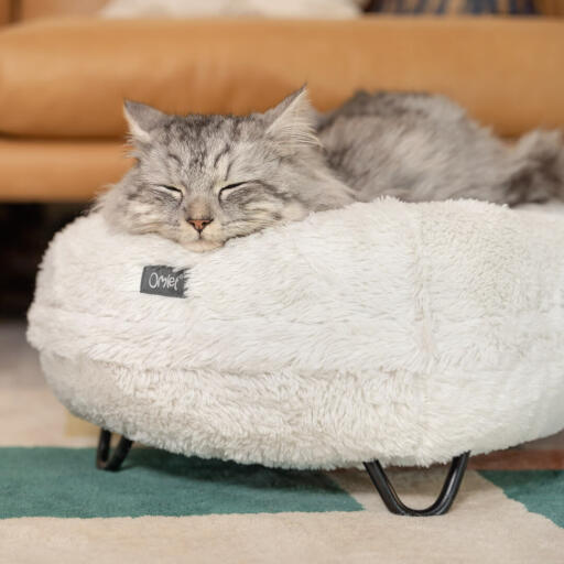 Kat, der sover på en super blød, snehvid Maya Donut katteseng med tilpasbare sengeben.