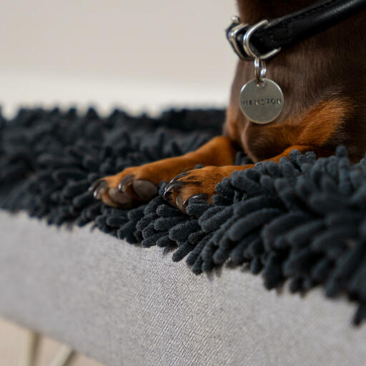 Teckel i en grå mikrofiber topmadras til den vaskbare Topology hundeseng