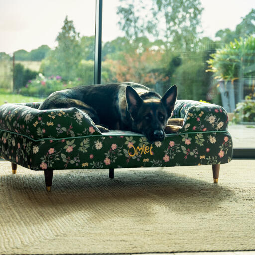 En schæferhund hviler sig i en Midnight Meadow hundeseng med støttekant