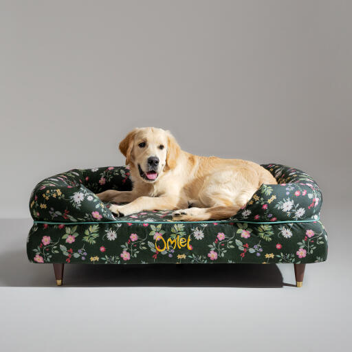 En Golden retriever hviler i Midnight Meadow hundeseng med støttekant