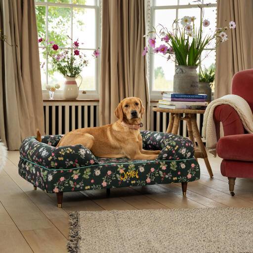 En retriever hviler i Midnight Meadow hundeseng med støttekant