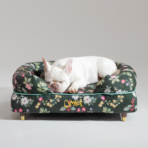 En fransk bulldog sover i Midnight Meadow hundeseng med støttekant