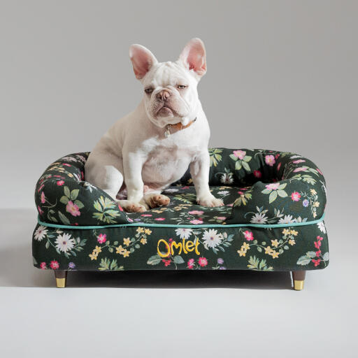 En fransk bulldog sad i Midnight Meadow hundeseng med støttekant