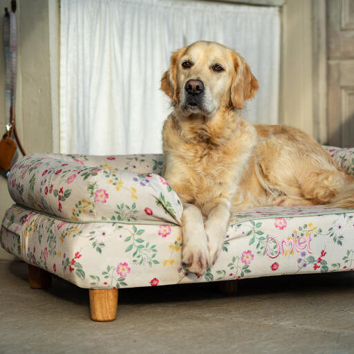 En Golden retriever hviler sig på en Morning Meadow hundeseng med støttekant