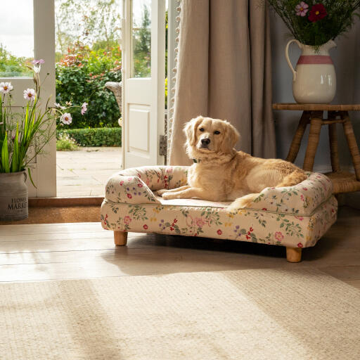 En miniature Golden retriever hviler sig i en Morning Meadow hundeseng med støttekant