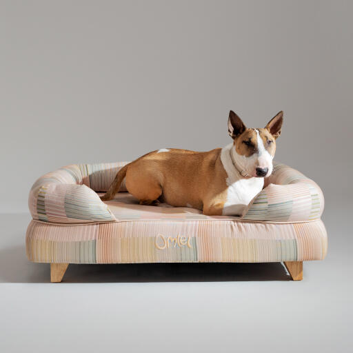 En bull terrier hviler i Pawsteps Natural hundeseng med støttekant
