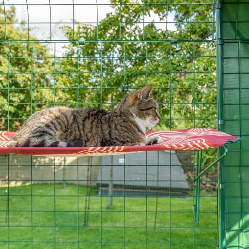 Kat lægger sig på rød udendørs vandtæt kattehylde i catio