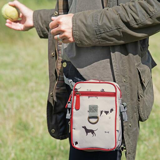 Person, der kaster bold til sin hund