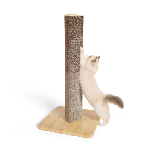 Højt genopfyldelig Stak-kattekradsetræ af Omlet
