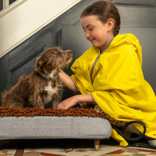 Hund bliver kælet af en pige på Omlet Topology hundeseng med mikrofiber top og træfødder med messingkappe