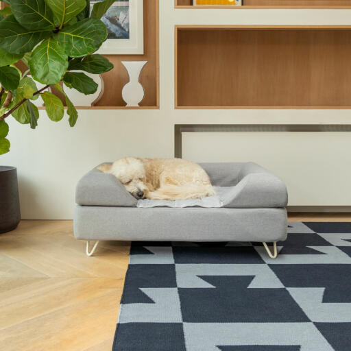 Hund sover på Omlet Topology hundeseng med grå pude og hvide hårnålefødder