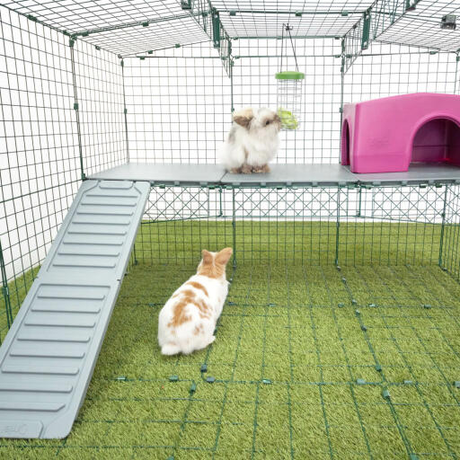 Omlet Zippi  kaninbur med Zippi platforme, Caddi Godbidsholder, lilla Zippi læ for kaniner og to kaniner
