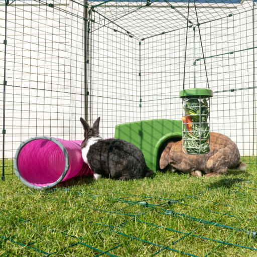 Zippi kaninhytte med kanin Zippi platform og Caddi kanin Godbidsholder til kaniner