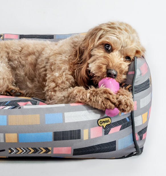 Støttende og stilfuld designer nest-hundeseng fra Omlet
