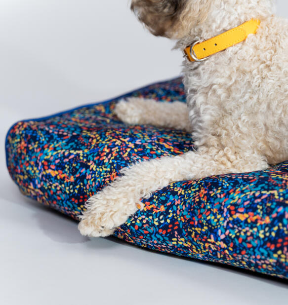 Et nærbillede af en hund på pudesengen til hunde med Patterpaws Neon-print