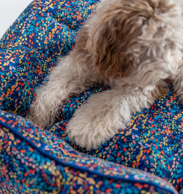 Bløde hundepoter ligger på en neonmønstret Omlet rede-seng til hunde