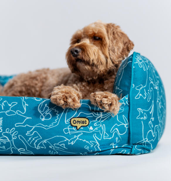 Brun hund ligger i en blågrøn Omlet rede-seng
